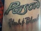 Poison - Flesh and Blood Vinyl LP European Pressing Import Green Color - (open)