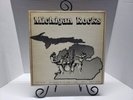 Michigan Rocks Seeds & Stems Various Artists 12 inch Vinyl LP American Jade 1977