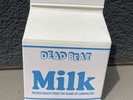 Dead Beat City Milk Kuma, Resin Toy, Toycon UK, Muffinman