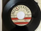 Larry & the Abeggs Hula/Time Red Feather 45 Rare Albuquerque Doo Wop