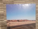 The Bicycle Thief - you come & go like a pop song - LP (thelonious monster RHCP)