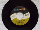 LU PARKS SINGERS 45 Ambassador Records ZAP POW EE YOW, HAPPY MUSIC, TIF211 VG