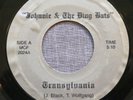 JOHNNIE & THE DING BATS Transylvania/Phantoms Of Love Rare 1986 Punk 45 NM-