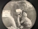 Rare 10” Shellac 78RPM