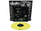 Integrity - HUMANITY IS THE DEVIL NEW & SEALED YELLOW LP (Record, 2023)