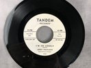 Leroy Fullylove I’M SO LONELY/JUMPIN OVER Rare Tandem Records 7002 Promo Doo-Wop