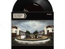 Noel Gallagher's High Flying Birds Vinyl Dead To The World Council Skies PO