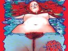 BABY WOODROSE Blows Your Mind  [LP Brown New] 13Th FLOOR ELEVATORS,...