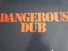 80s Dub Reggae KING TUBBY MEETS ROOTS RADICS dangerous dub 1981 UK Vinyl LP Mint