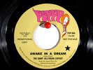 The Giant Jellybean Copout  Poppy 504 Promo Awake in a Dream / Look At the Girls