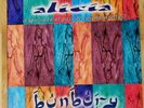 OFERTA BUNBURY Alicia Héroes del Silencio   RARO  Maxi VINILO Promocional