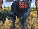 blink-182 - Dude Ranch - Transcluent red Vinyl