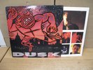 THE THE DUSK Used Vinyl LP