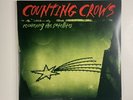 Counting Crows Recovering The Satellites 2LP Green Vinyl