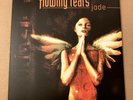 FLOWING TEARS- Jade vinyl