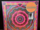Grateful Dead Live Boston Garden 5-7-77 Record Store Day 2023 RSD 5 LP