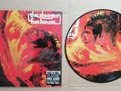THE STOOGES / IGGY POP - Funhouse - Picture Disc VINYL BACK TO BLACK