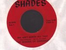 RARE GARAGE ROCK 45/SHADES OF DARKNESS on SHADES: She ain't worth all that