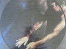 Siouxsie And The Banshees The Scream  Picture Disc 1978 LP