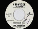 Surf Inst. 45 - Pyramids - Midnight Run - Cedwicke - VG+ mp3