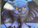 Rush Fly by Night Picture Disc