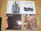 Skeletal Family, Rema-Rema, Second Layer - 4 Vinylplatten - 4AD...