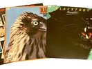 Blackfoot Vinyl Record Lot: Marauder Tomcattin Vertical Smiles
