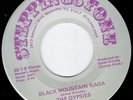 5 Obscure 70s Rock 45s (GYPSIES/UPROAR/SUNBLIND LION/MILK AND HONEY +1)