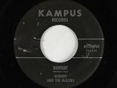 Surf Inst. 45 - Rodney & The Blazers - Warpaint - Kampus - mp3