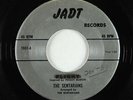 Garage/Surf 45 - Sentarians - Don't Go/Flight - Jadt - mp3 - rare