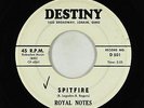 Surf Inst. 45 - Royal Notes - Spitfire - Destiny - mp3