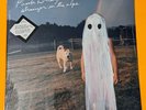 SEALED Phoebe Bridgers - Stranger In The Alps Vinyl - 2017 Release - DOC142
