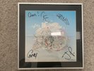 Athlete Vehicles Animals original 2003 LP UK 1st Press+signed print PRISTINE SET