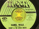 KENNY HAMBER MEGA  RARE  northern soul 45 Let's do the  Camel Walk MEAN RECORDS