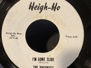 The Dagenites 45 Im Gone Slide/Now That Summers Gone HEIGH HO garage HEAR 619-45