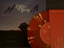 Aly & AJ Pretty Places Signed 7” Vinyl Record