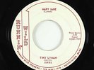 Rockabilly 45 - Tiny Lyman & his Jukes - Mary Jane - Runnin' Wild - mp3