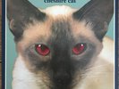 Blink-182 Cheshire Cat Analog Vinyl Lp From Japan Very GOOD