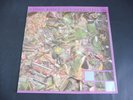 Stone Roses - So Young c/w Tell Me 1985 UK 12