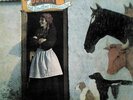 Vashti Bunyan : Just Another Diamond Day VINYL Limited  12