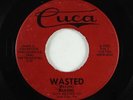 Garage Surf Inst. 45 - Zakons - Wasted/Trackin' - Cuca - mp3