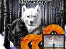 CODY JINKS - WANTING AFTER THE FIRE NEW VINYL