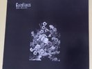 CARDIACS THE SEASIDE VINYL LP ORIG UK ALPHABET BUSINESS CONCERN ALPH LP013 EX+