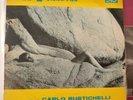 La Calda Vita - Carlo Rustichelli - OST - Italy 1964 - SUPER RARE