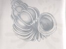 LP N.A.D.M.A. UNO ZINGARO DI ATLANTE.... RISTAMPA 2017 COPIA SIGILLATA PROG JAZZ