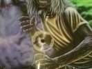 IRON MAIDEN PICTURE VINYL