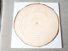Bill Callahan Rough Travel for A Rare Thing A Live Album 2lp NM UNPLAYED