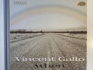 Vincent Gallo - ‘When’ Vinyl Record - Rare and Collectable