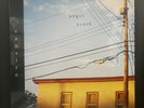 Vansire - Angel Youth LP Indie Pop Electronic US 2019 Spirit Goth Records Blue x
