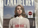 Lana Del Ray BORN TO DIE Color Vinyl LP Record TARGET EXCLUSIVE Sealed